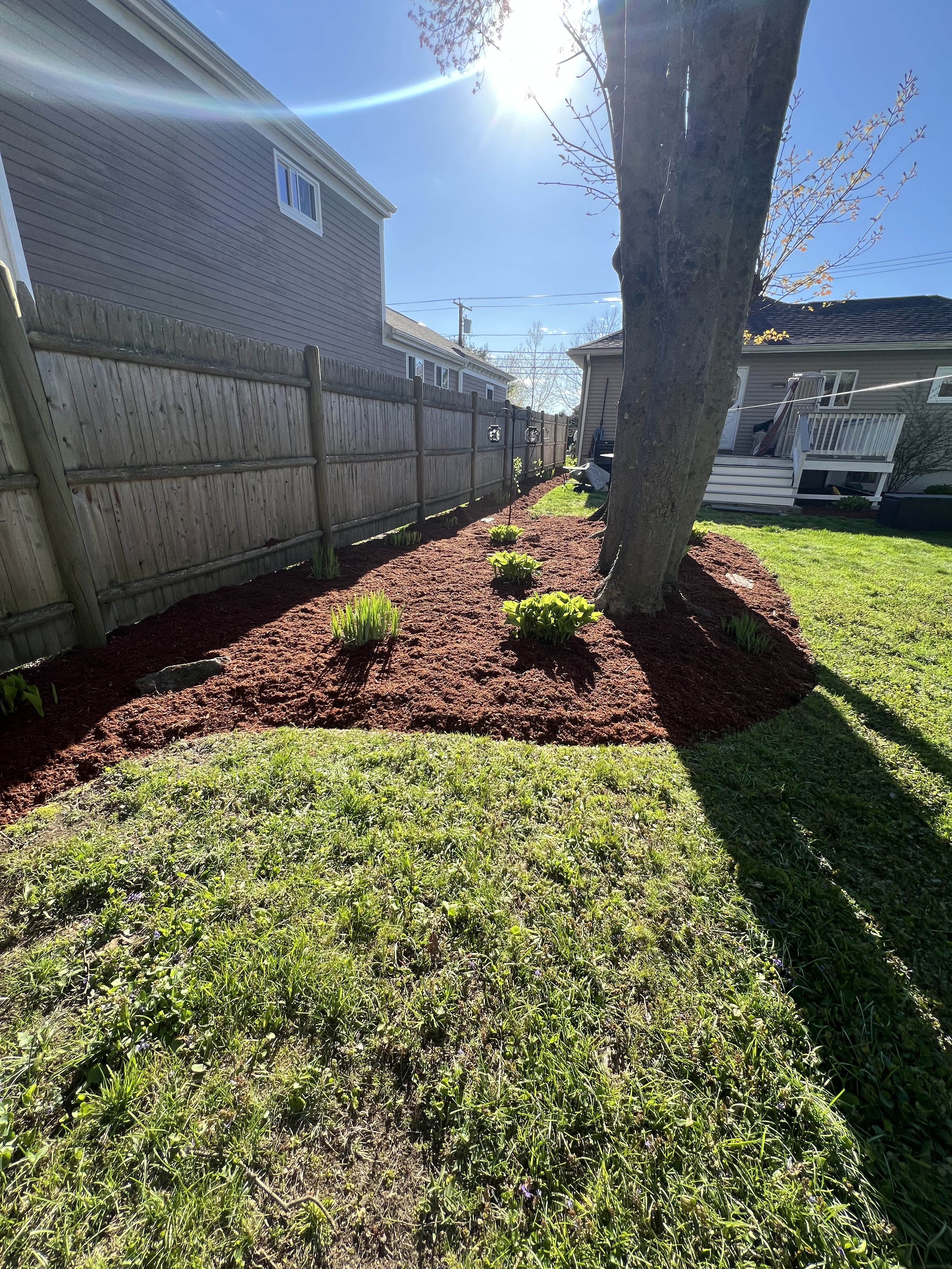 Fresh red mulch bed along a backyard fence line