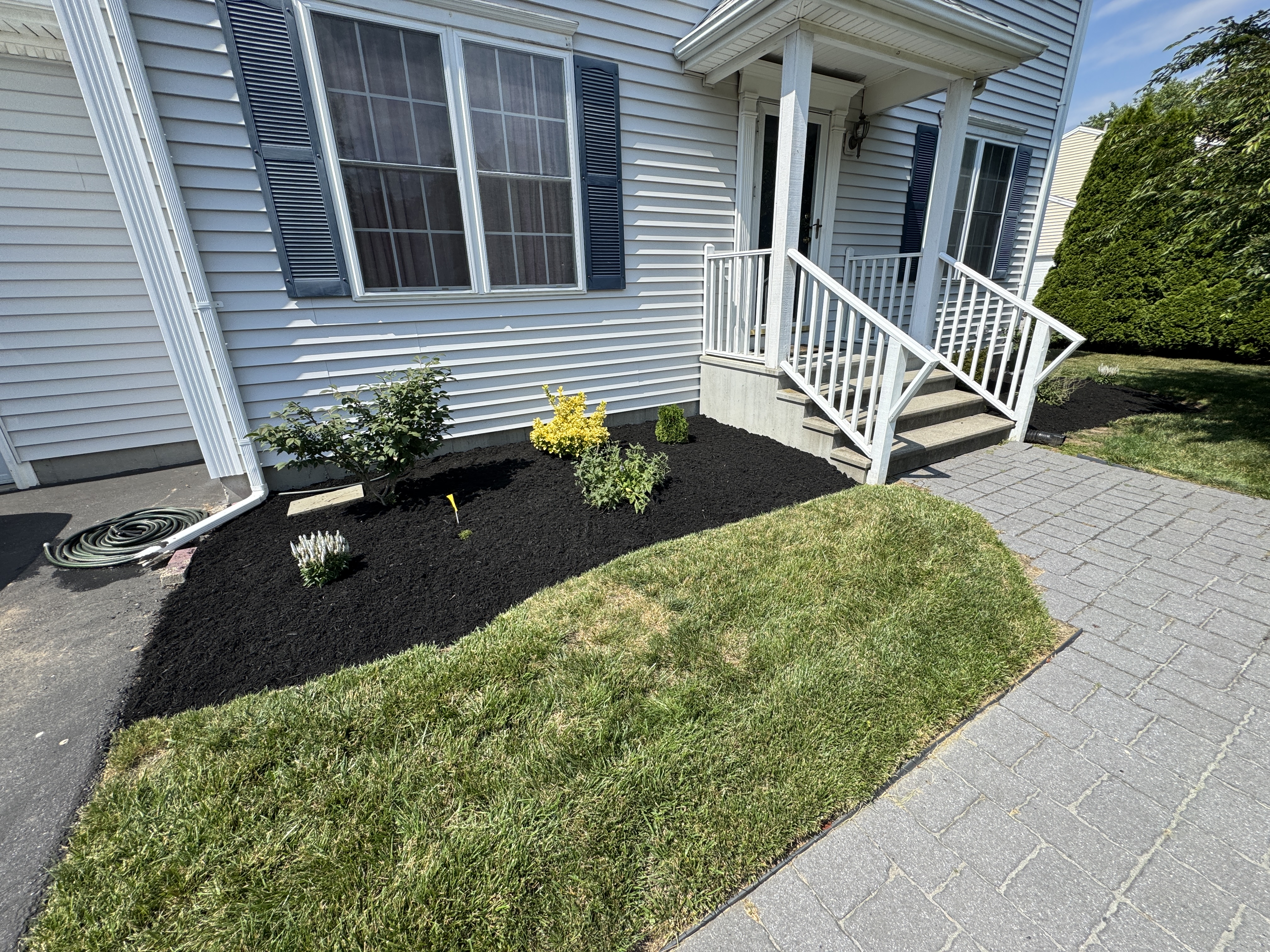 Backyard deck bed with fresh dark mulch and hydrangea