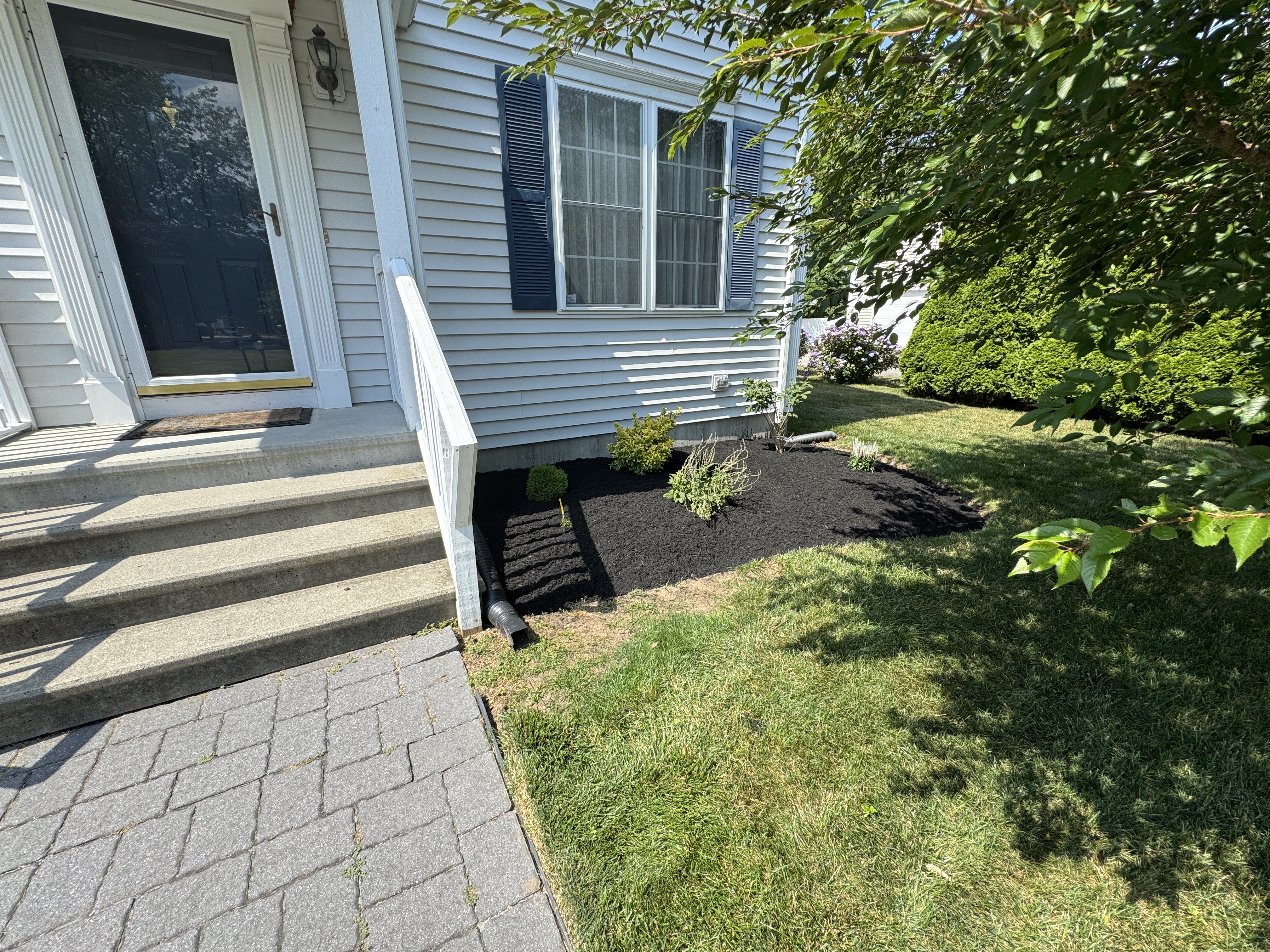 Fence-line beds with hostas and fresh mulch